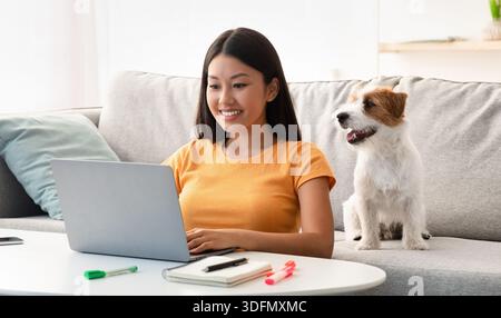 Joyful asian lady surfing on Internet, cute puppy sitting by Stock Photo