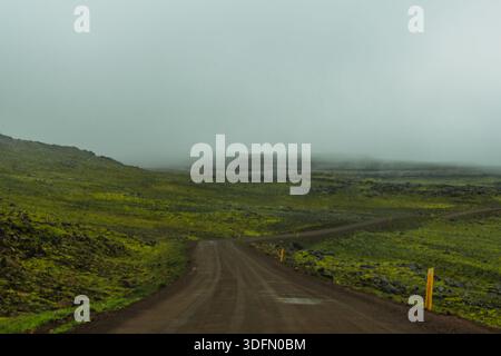 View of a winding dirt road cuts through a vibrant green, moss-covered landscape, shrouded in a thick blanket of fog, creating an ethereal, otherworld Stock Photo