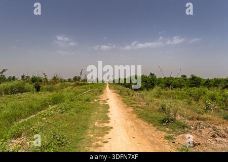 View of a long, ochre path winding through a vibrant green landscape under a hazy sky, creating a serene yet earthy scene, Changa Manga, Punjab, Pakis Stock Photo