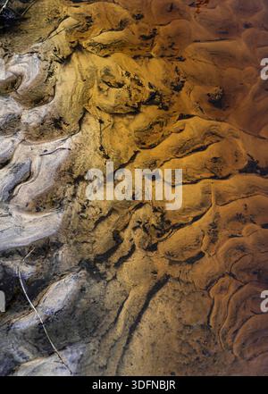 Sand patterns and stream textures in shallow water Stock Photo