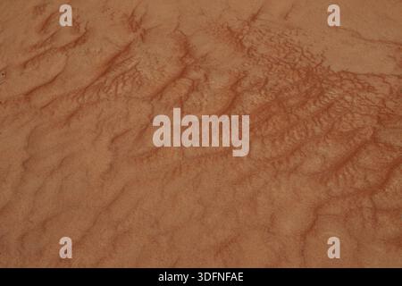 Ripples in the Sand in the Desert  Wahiba Sands Sultanate of Oman Stock Photo