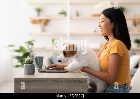 Pretty chinese lady freelancer working from home, petting her dog Stock Photo