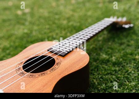 A classic brown acoustic ukulele with white wooden strings rests on the green grass like a folk musical instrument ready to play a jazz and rock music Stock Photo
