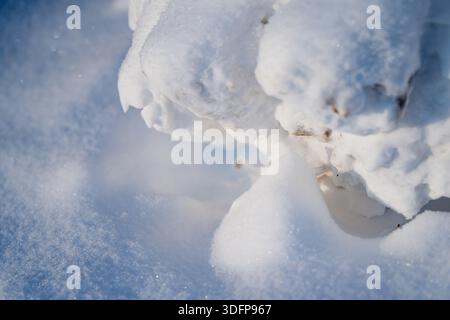 Close up of fresh snowdrift with compacted snow clumps and sparkling crystals in sunlight, minimalist winter texture detail with soft blue shadows Stock Photo