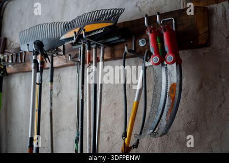 Wall mounted rack holding rakes, long handle yard tools and red handled sickle saws in garden shed, organized equipment hanging from wooden board on p Stock Photo