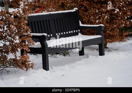 Black park bench partly buried in snow beside dried brown shrub leaves, minimalist winter landscape with empty seating and soft natural light outdoors Stock Photo