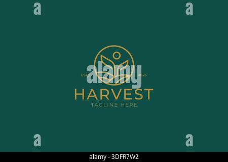 Harvest Logo Badge Farm Field Agriculture Plant Fresh Organic Organic Food Sign Symbol Label Stock Vector