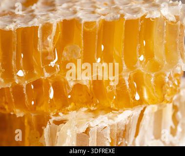 Macro Shot of Fresh Organic Honeycomb with Glistening Golden Honey Stock Photo