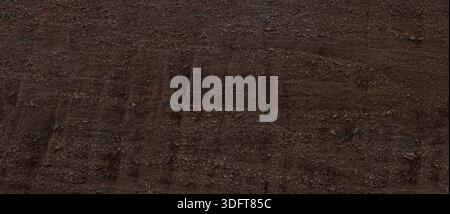 Dry brown earth surface forming a detailed natural texture background Stock Photo