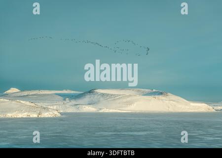 View of snow-blanketed hills meet the icy expanse under a pale sky, as birds fly overhead in formation, Rejkjahlid, North Iceland, Iceland. Stock Photo