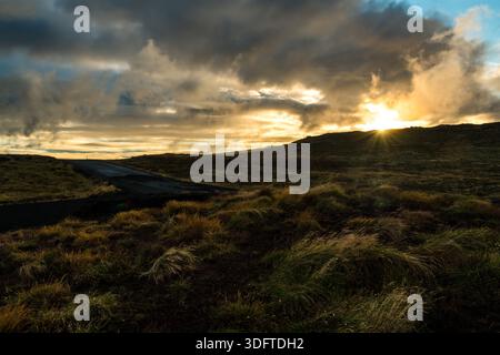 View of a sun-kissed landscape with a dark road cutting through the golden grass, all under a dramatic sky, Keflavik, Iceland. Stock Photo