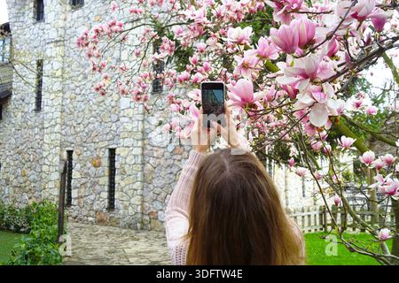 Woman using smartphone to photograph magnolia blossoms in spring. Represents personal visual record of a meaningful moment and life documentation. Stock Photo
