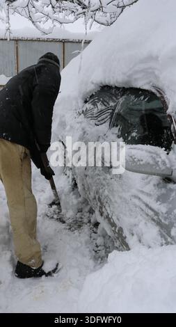 A man bends over to clear a path into a garden or backyard after an abnormal snowfall using a shovel, leaving high snowdrifts on the sides Stock Photo
