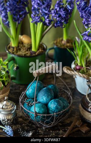 colored blue Easter eggs in vintage basket with spring flowers, dark rustic background Stock Photo