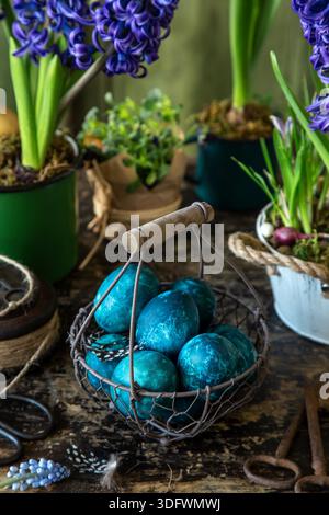 blue Easter eggs in vintage basket with spring flowers, dark rustic background Stock Photo