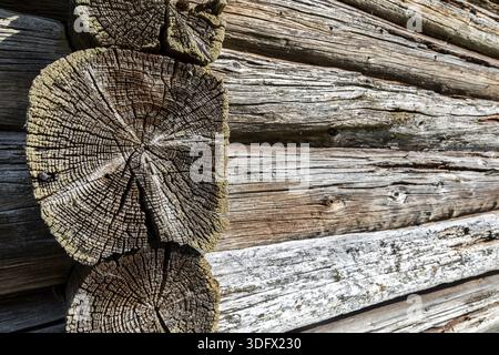 Old rough wooden logs with cracks as background. Wooden rough texture. View from the angle Stock Photo