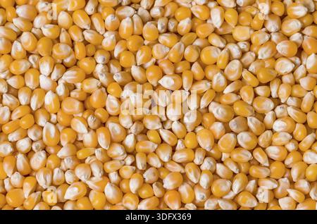 Beautiful pop corn background for various use. Popcorn corn grains in close up Stock Photo