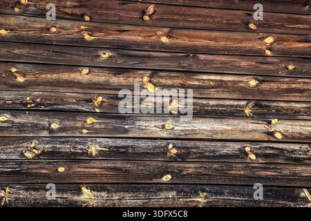 The wall of a building or house of old cracked logs. The surface with wooden boards. Old village barn or warehouse Stock Photo