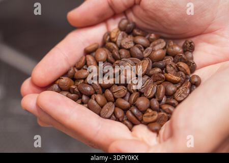 Worker inspects fragrant roasted coffee beans taking them in his hands at production plant close up. Stock Photo