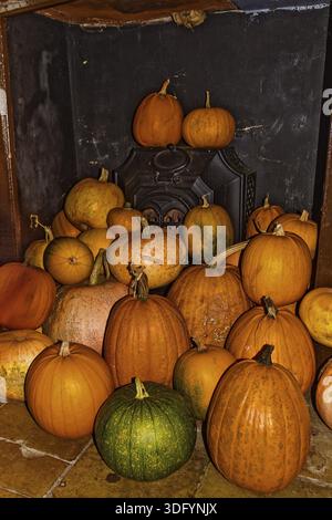 Pumpkins Ready For Carving Suffolk UK Stock Photo