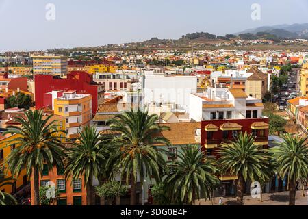 Palm trees and colorful buildings in La Laguna, cityscape view over San Cristobal de La Laguna rooftops, Tenerife, Canary Islands. Stock Photo