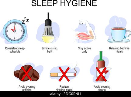 Sleep hygiene. Good night. Circadian rhythm. Sleep-wake cycle. Vector illustration. Medical diagram Stock Vector