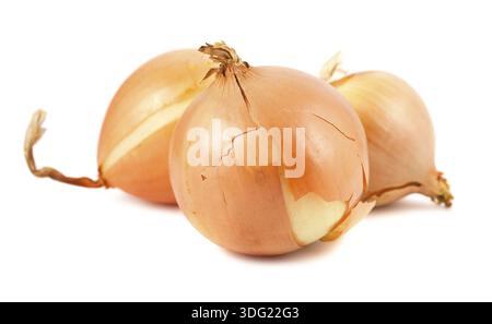 Three fresh golden onions isolated on white background Stock Photo