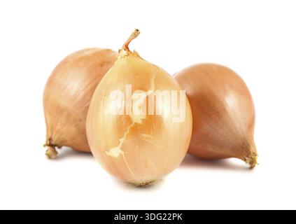 Three fresh golden onions isolated on white background Stock Photo