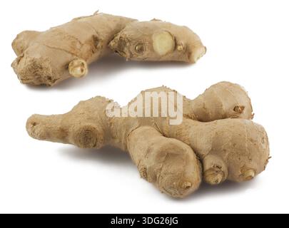 Two ginger roots isolated on white background Stock Photo