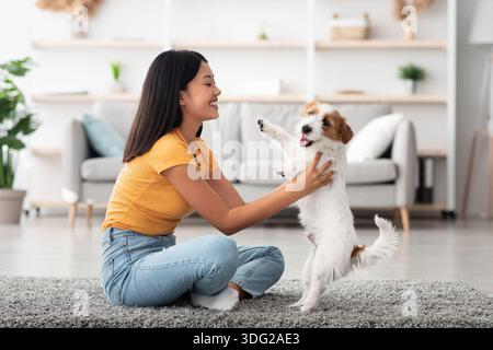 Side view of asian woman holding jack russel terrier dog Stock Photo