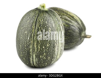 Pair of fresh green marrows isolated on white background Stock Photo