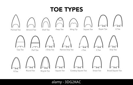 Toe types diagram single line pair. Pointed, almond, square shell ...