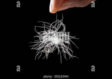 closeup of hand holding a down feather isolated on black background Stock Photo