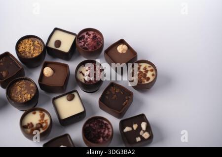 assorted artisanal chocolate bonbons arranged on a soft pale surface, featuring round and square shells filled with creamy ganache, white and dark cen Stock Photo