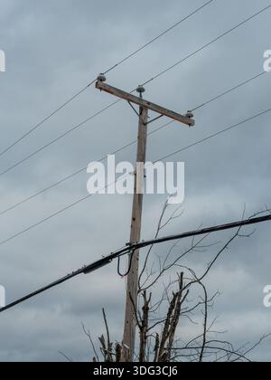 Wooden electric pole with wires and grey metal junction box Stock Photo ...