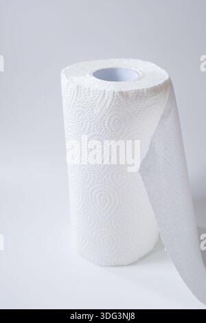 Roll of kitchen paper towel isolated on a white background Stock Photo