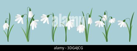 First snowdrops set. Collection of spring forest flowers with white petals. Floral natural clip art. Snowdrops, group, single and in bushes, vector Stock Vector