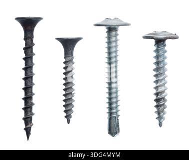 Different types of screws arranged on white surface for comparison and analysis of design Stock Photo