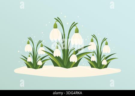 Spring snowdrops blooming in snow on blue background flat vector illustration. Stock Vector