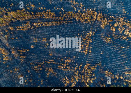 8. Abstract texture of a charred landscape after a natural disaster Stock Photo