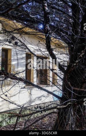 Mysterious view of an old, abandoned building partially obscured by the dark, tangled branches of a coniferous tree. Stock Photo