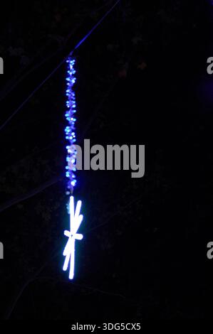 Futuristic long exposure of glowing blue neon light forming a vertical trail on dark background, ideal for technology and abstract concepts. Stock Photo