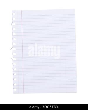 Real photo of blank white paper sheet with blue lines and red margin isolated on white background, ripped out of note book. Top view, empty with copy Stock Photo