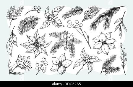 Christmas pine. Vintage winter cone, old thistle branch, black victorian retro graphic. Snow white christmas eucalyptus. Hand drawn rowan berries, conifer and cedar. Vector isolated design elements Stock Vector