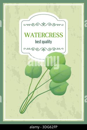 Herbal leaves icon. Green watercress. Organic herb. Greengrocery label. Food natural product. Salad fresh plant bunch. Ripe crop premium quality. Vegetarian ingredient. Vector marketing banner design Stock Vector