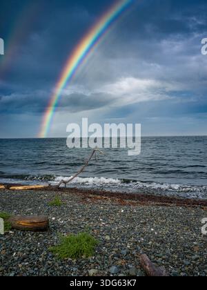 Rocky beach with scattered driftwood under a vibrant rainbow and cloudy sky. Qualicum Beach, British Columbia, Canada Stock Photo