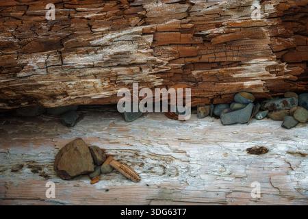 High-angle view of rotting driftwood with rough bark and smooth river pebbles on a light-colored wooden surface. Stock Photo