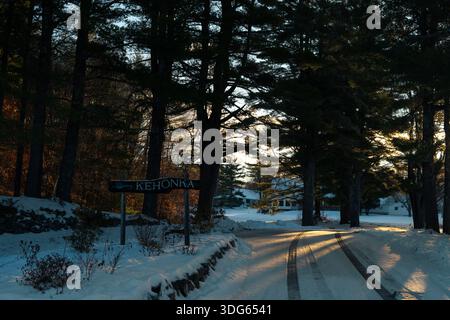 Snow-covered forest with sunlight streaming through the trees. Peaceful winter landscape, natural light, and serene seasonal atmosphere Stock Photo