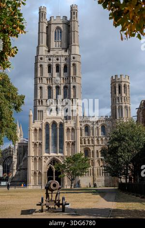 Ely Cathedral with trees in the foreground Stock Photo - Alamy