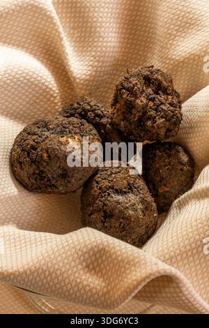 Black truffle, Montefiorino, Modena, Emilia-Romagna, Italy Stock Photo